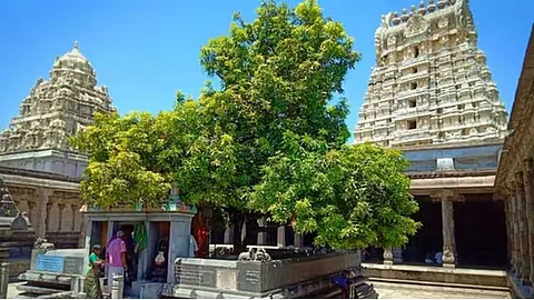 The magnificence of Kovil Thala Virutchangal
