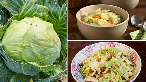 Amazing recipes!