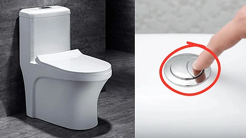 toilet flush button