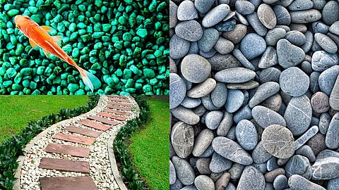 Pebble Walkway, fish tank