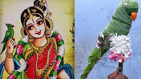 The Greatness of Andal Nachiyar's Parrot