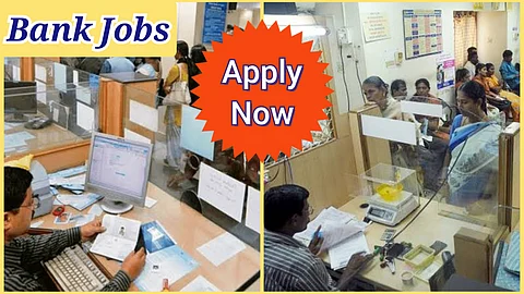 IBPS Clerk Job Announcement