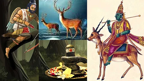 vedan, deer, Mirugasirisham Natchathiram
