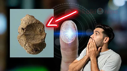 Fingerprint