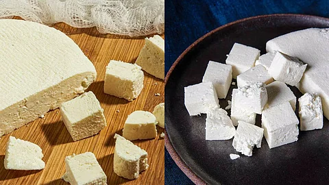 paneer