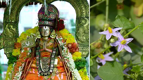 Alavandar and Thuthuvalai