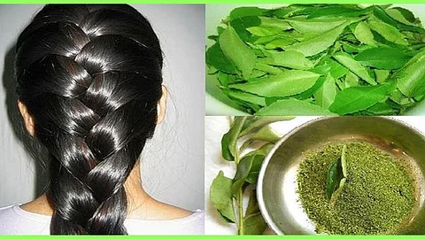 Hair & Curry leaves
