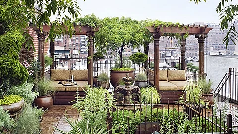 Rooftop gardening