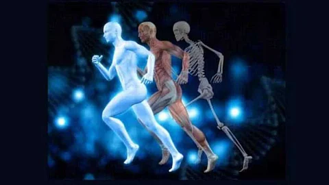 Foods that strengthen bones