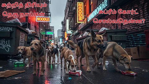 சுற்றித் திரியும் தெரு நாய்கள்