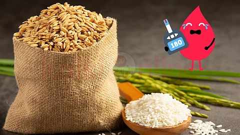 Rice