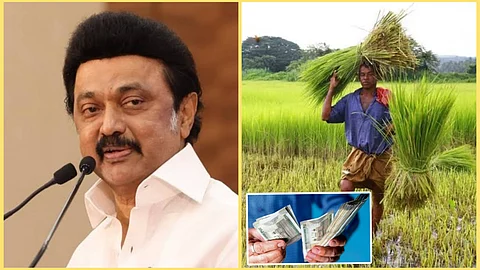 Instant Crop Loan for Farmers