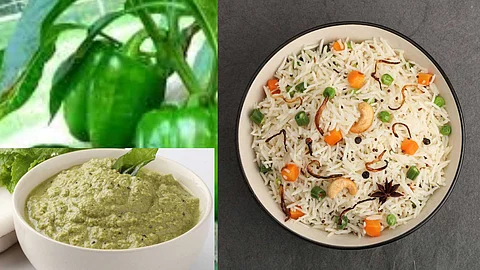 Simple recipes!