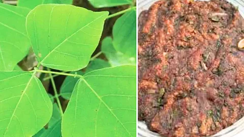 healthy recipes in tamil