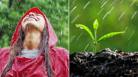 Petrichor