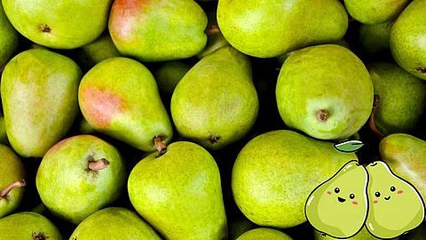 Pear fruit