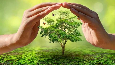 Who is responsible for protecting the environment?