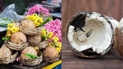 Is the coconut flower a good omen?
