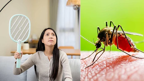Why do pregnant women get bitten more by mosquitoes?