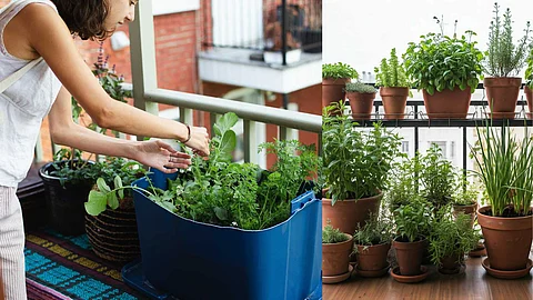 Easy ways to create a balcony garden