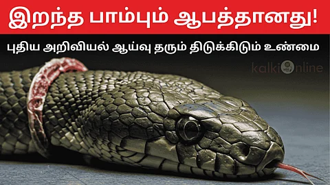 இறந்த பாம்பும் விஷத்தைச் செலுத்த முடியும்