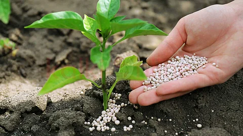 For garden plants