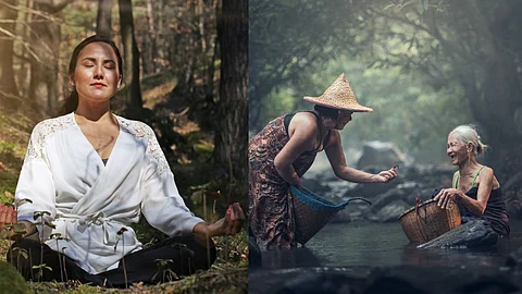 Japanese forest therapy