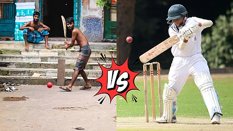 Cricket