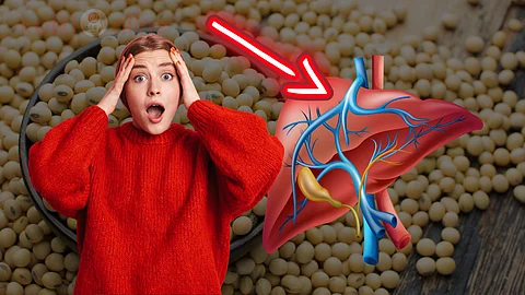 Liver