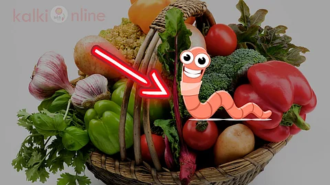 Vegetables