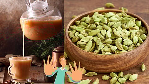 Cardamom tea health risks