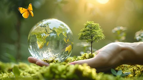 Environmental protection questions