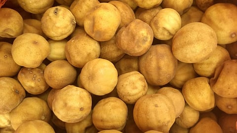 Dried lemon
