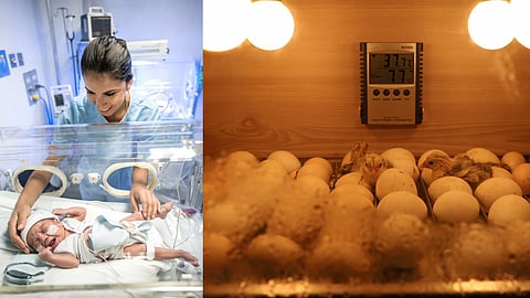 types of incubators