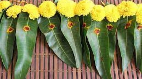 The secret of constructing the Mavilai Thorana