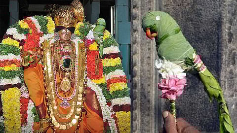 The miraculous Andal parrot that removes the marriage ban