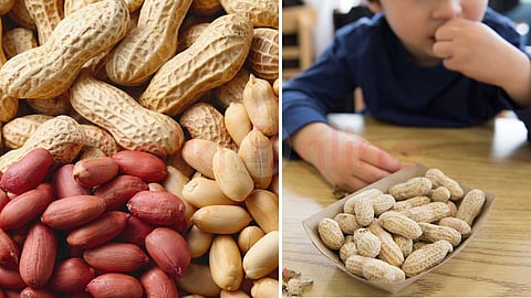 healthy foods