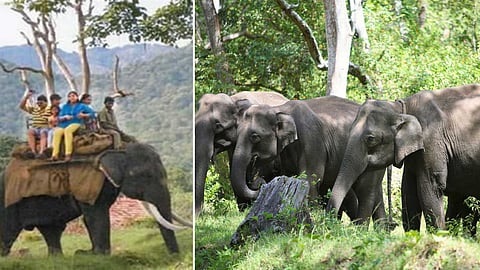 Mudumalai National Park