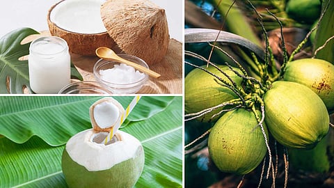 September 5th is World Coconut Day!
