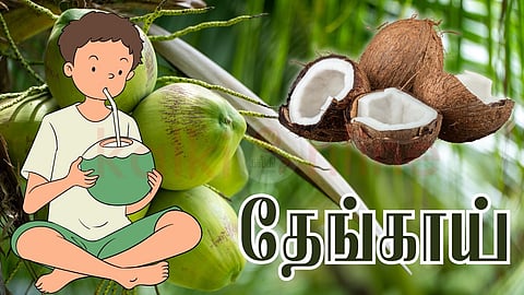 Coconut