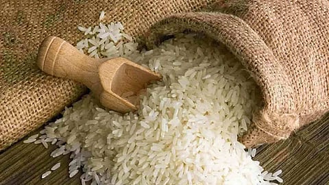 rice prices drop