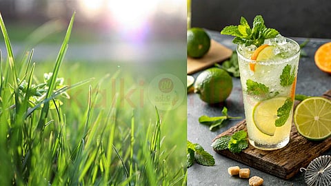 Lemon grass cares