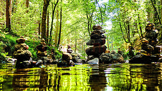 The wonderful art of nature