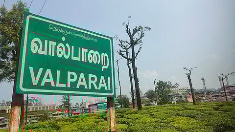 Valparai