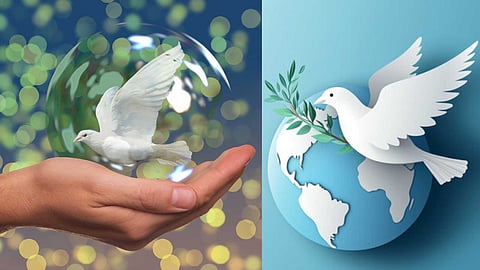 UN. The amazing achievement of the Postal Commission!