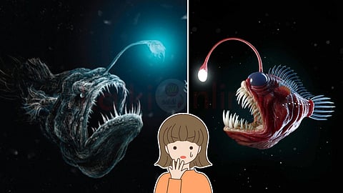 Anglerfish