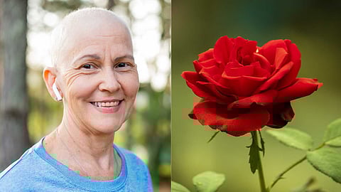 World Rose Day