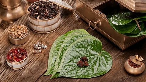 Betel nuts history