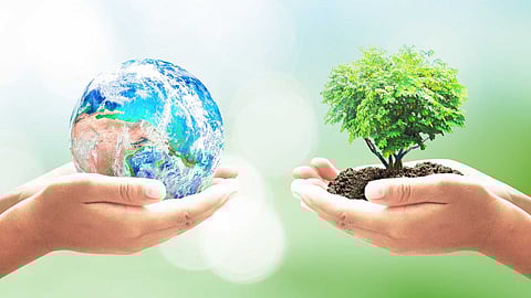 World Environmental Health Day