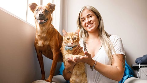 Pet care during the rainy season